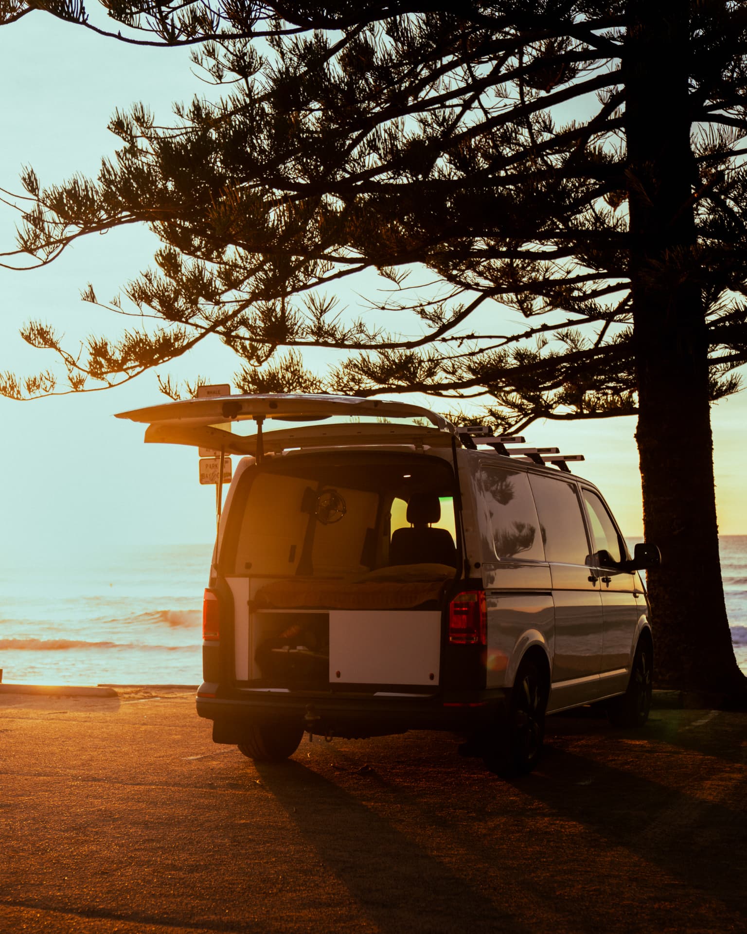 VW Transporter — Boards on the roof, parked under the Norfolk pines